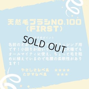 画像3: K-pro GROOMERブラシ-First（No、100）